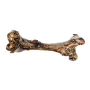 Whole Femur Bone Dog Treat – All-Natural, Long-Lasting Dog Chew