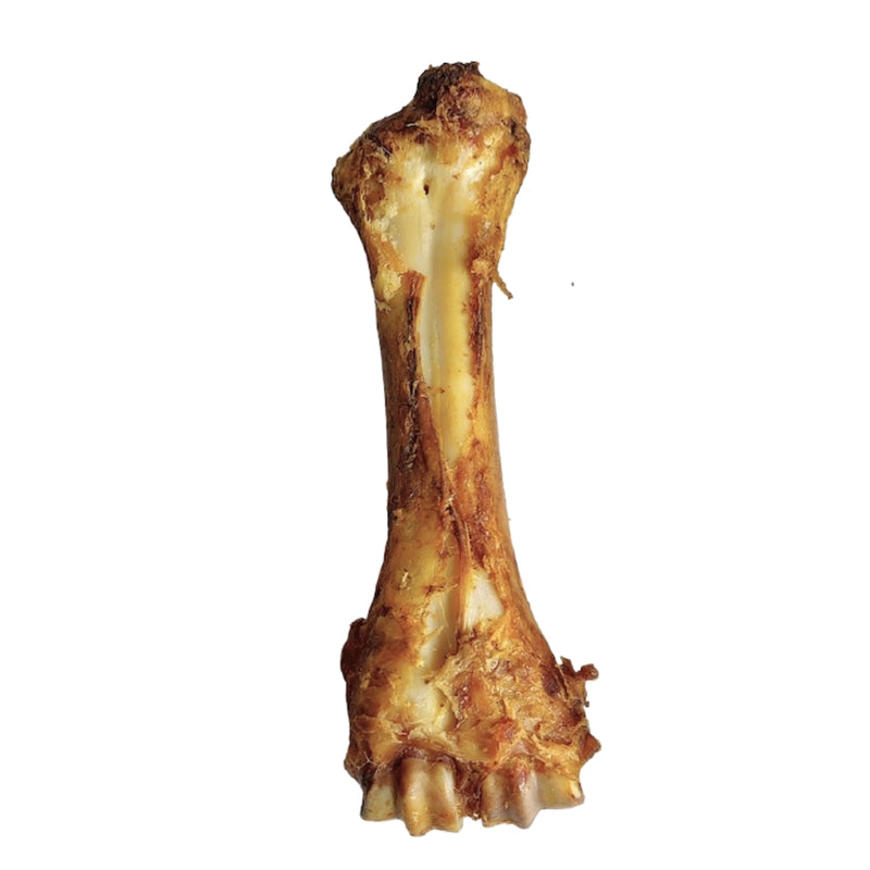 8" Natural Beef Shin Bone Dog Chew (2-Pack)