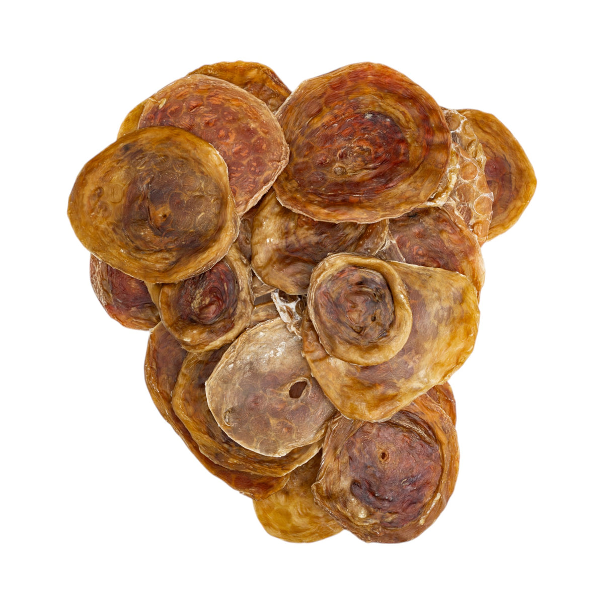 Beef Bladder
