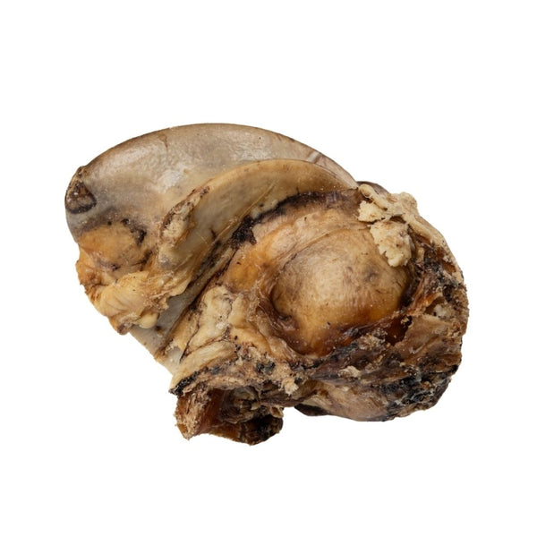 Beef crown knuckle dog chew 5 count