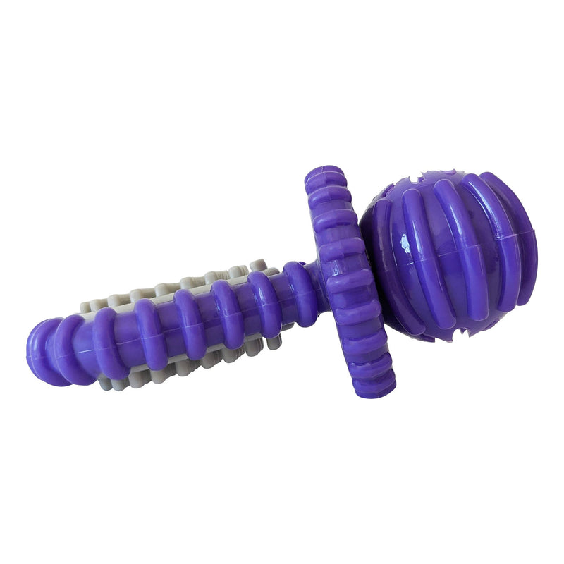 Dental Pacifier Dog Chew Toy - Purple