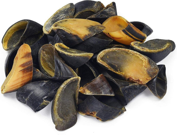 Benefits of Giving Your Dog a Cow Hoof as a Chew