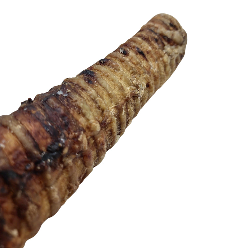 12" Beef Trachea - All Natural Dog Treats - 2 Pieces