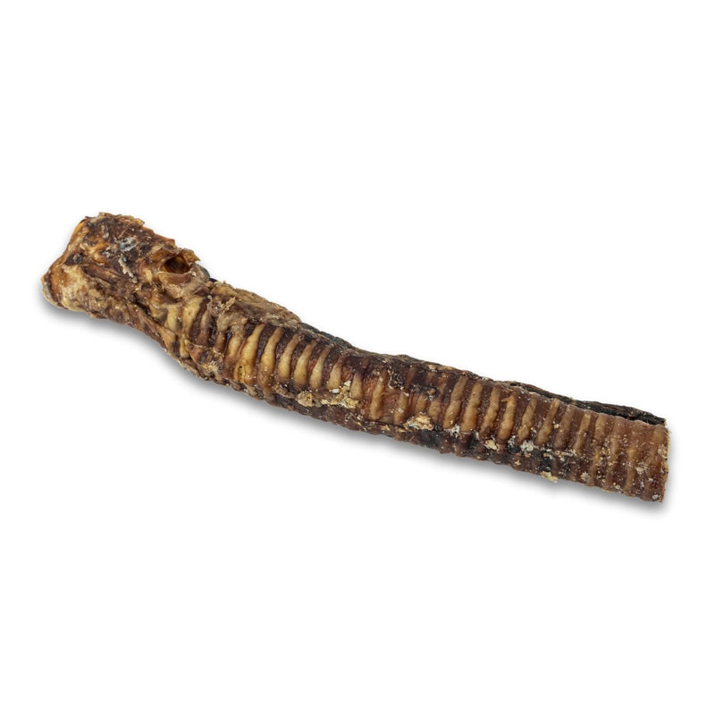 12" Beef Trachea Dog Treat - All-Natural Dog Chews (25/case)