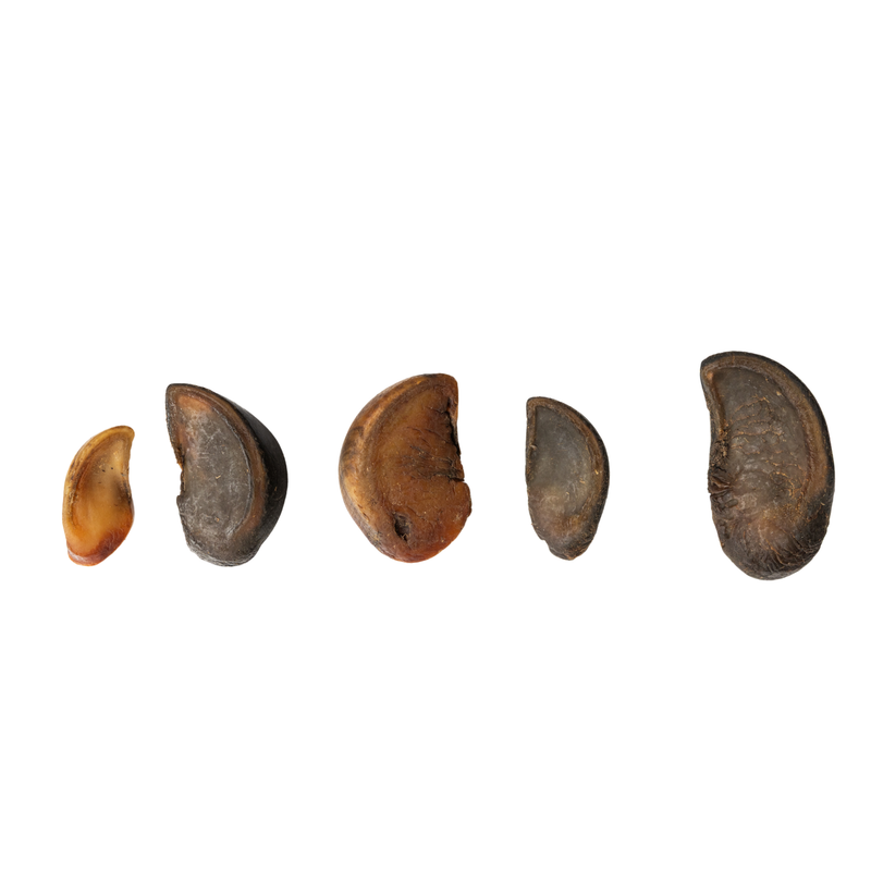 Premium Cow Hoof Dog Chews – All-Natural, Single Ingredient Treats