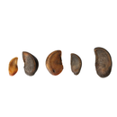 Cow Horn Dog Chews – All-Natural, Long-Lasting Dog Treats (25-Count)