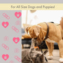 40-piece pet first aid kit for travel and safety