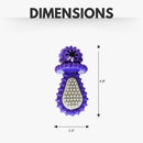 Dental Pacifier Dog Chew Toy - Purple