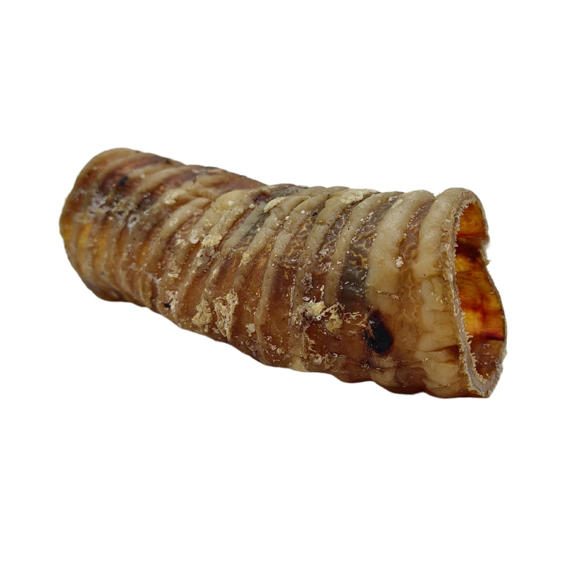 6" Beef Trachea - All Natural Dog Treats - 2 Pieces