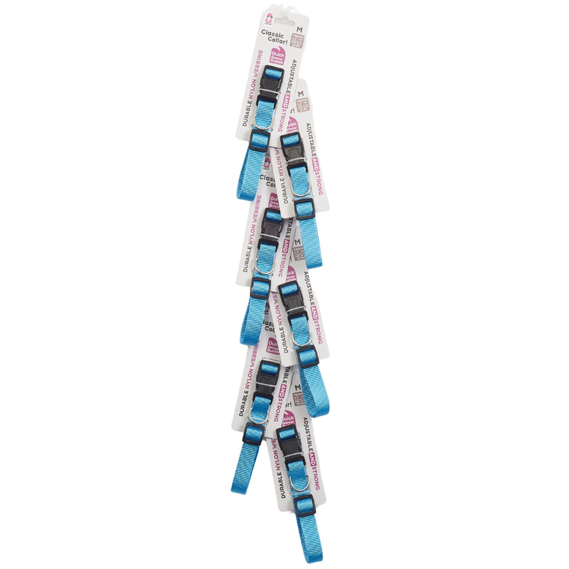 Light Blue Medium Dog Collar (6-Pack on Clip Strip)