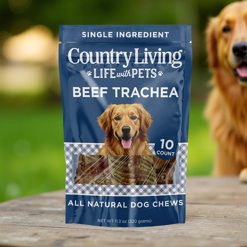 Country Living 6” Beef Trachea Dog Chews – 10 Count Bag – All-Natural, Single-Ingredient, Long-Lasting Dog Treats – High in Protein & Natural Glucosamine – Supports Dental Health