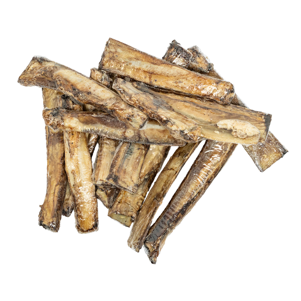 All-Natural Beef Rib Bones Dogs Treat Chews (8"-10")