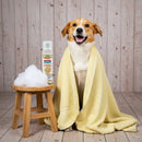 Soothing Oatmeal Foaming Aromatherapy Pet Shampoo