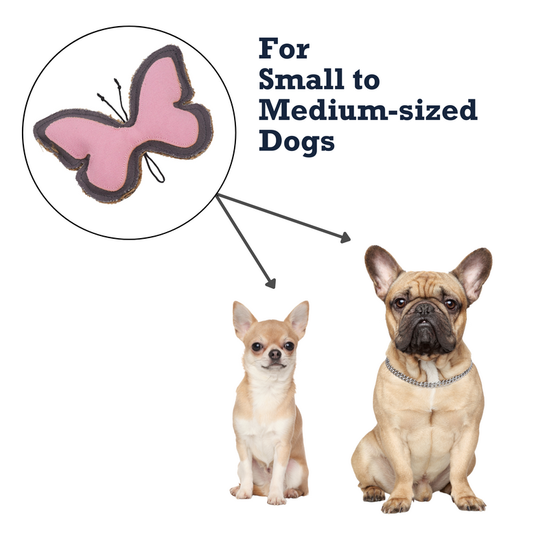 Butterfly-Shaped Canvas & Jute Chew Toy for Dogs (6-pack on Clip Strip)