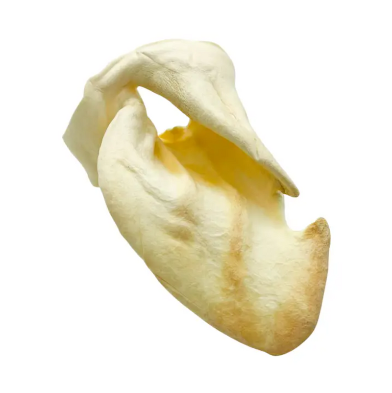 Cow Ear Dog Chews – All-Natural, Grain-Free, Single Ingredient Treat