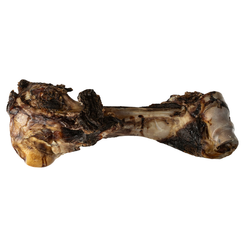 Dino Beef Bone Dog Treat - Natural Long-Lasting Chew