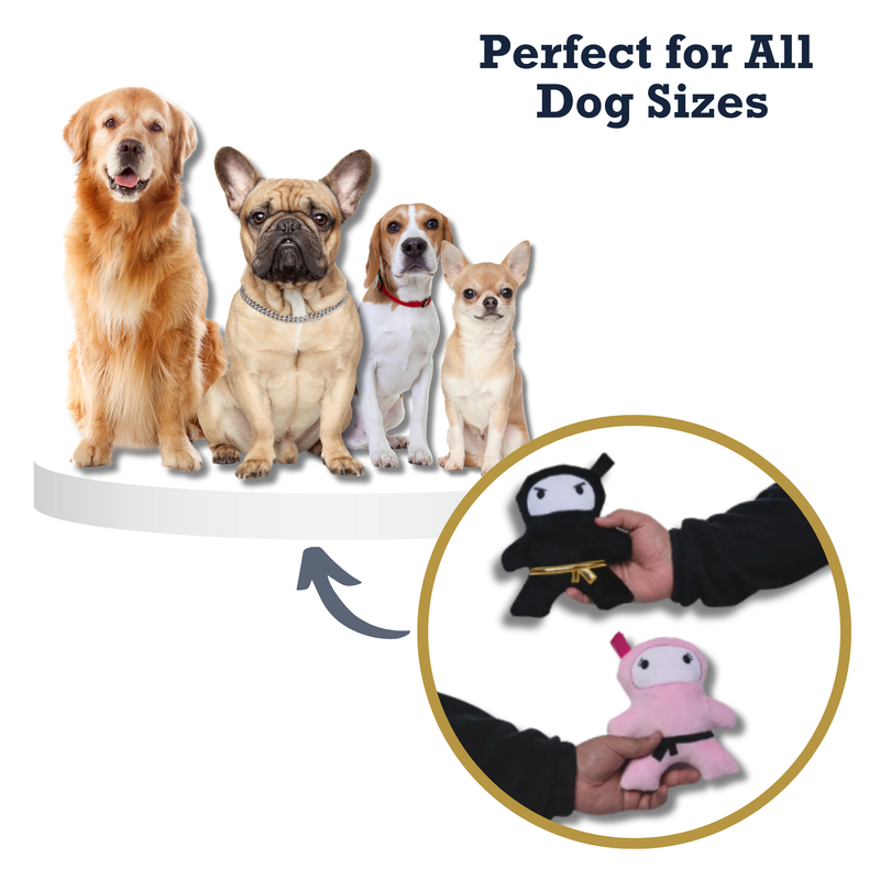 Pawsome Duo: Ninja Pink and Black Plush Dog Toy Gift Set