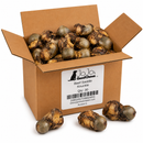 Beef Saddle Knuckles | Natural Dog Chews