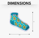 Whimsy Wonders Squeaky Sock Plush Dog Toys- Pineapple Bones