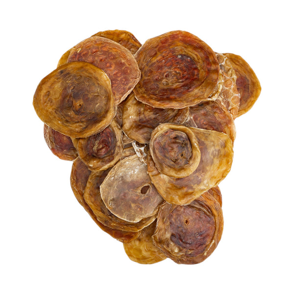 Single-ingredient high-protein beef bladder disc