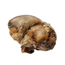 Beef crown knuckle dog chew 5 count