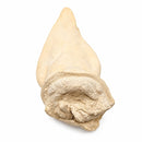 White Puffed Water Buffalo Ears for Dogs | Natural Buffalo Ear Chews 10 Pack