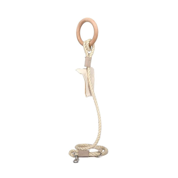 Carbon neutral eco-friendly dog leash with small storage bag