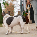 Carbon neutral eco-friendly dog leash with small storage bag