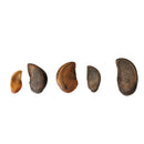All-natural cow horn long-lasting dog chew