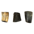 Beef Horns | Natural Dog Chews
