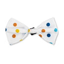 4 piece dog birthday kit bandana hat bow tie and plush toy party set