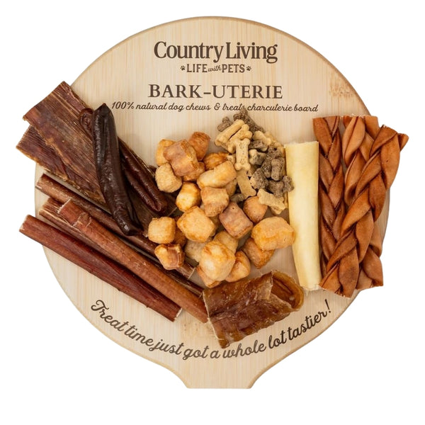 Charcuterie-style natural dog treat board with assorted chews and treats