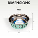 Eco-friendly stainless steel farmhouse dog bowl in mint green