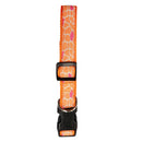 dog collar with embroidered giraffe design