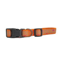 dog collar with embroidered giraffe design