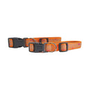 dog collar with embroidered giraffe design