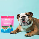 Ava's Pet Palace freeze dried salmon dog treats salmon puffs high protein dog snack