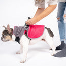 fuchsia thermal dog fleece jacket with integrated harness
