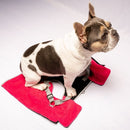 fuchsia thermal dog fleece jacket with integrated harness