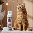 Hypoallergenic foaming kitten shampoo