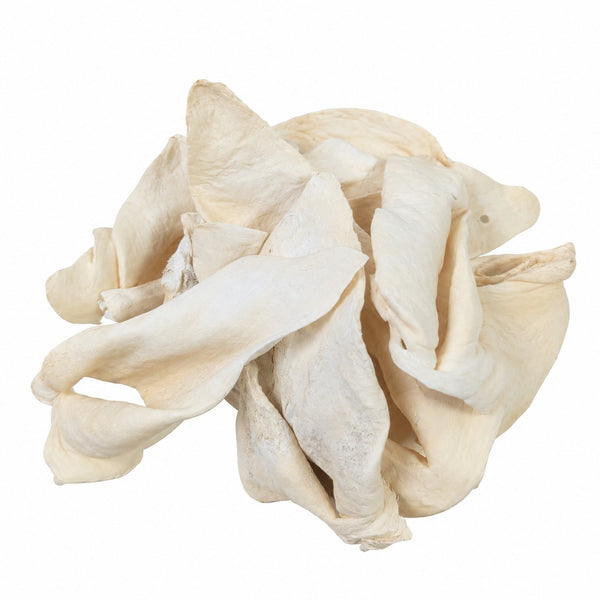 JoJo Modern Pets White Puffed Water Buffalo Ears, featuring 10 natural, single-ingredient water buffalo ear dog chews with a light, crunchy texture, measuring approximately 6–8 inches each.
