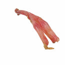 Beef Y Thick Tendon Dog Chews 60–100g | Natural Beef Tendons 15 Pack