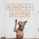 BAFFS NATURALS lamb lung training bites, natural dog treats