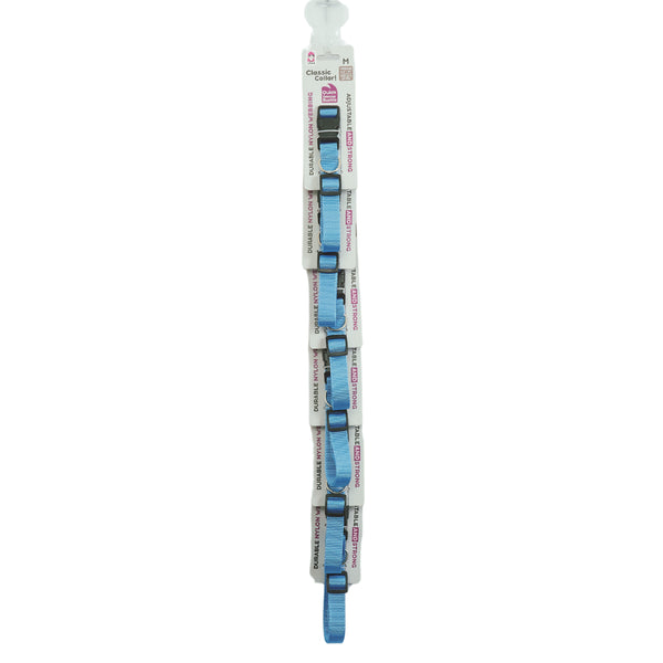 Light blue medium dog collar 6 pack clip strip display adjustable dog collars
