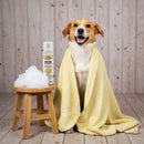 Soothing oatmeal foaming pet shampoo