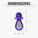 purple dental pacifier chew toy designed for dogs