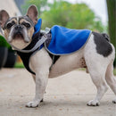 royal blue thermal dog fleece jacket with integrated harness