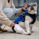 royal blue thermal dog fleece jacket with integrated harness