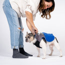 royal blue thermal dog fleece jacket with integrated harness