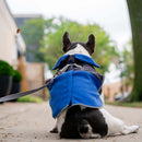 royal blue thermal dog fleece jacket with integrated harness